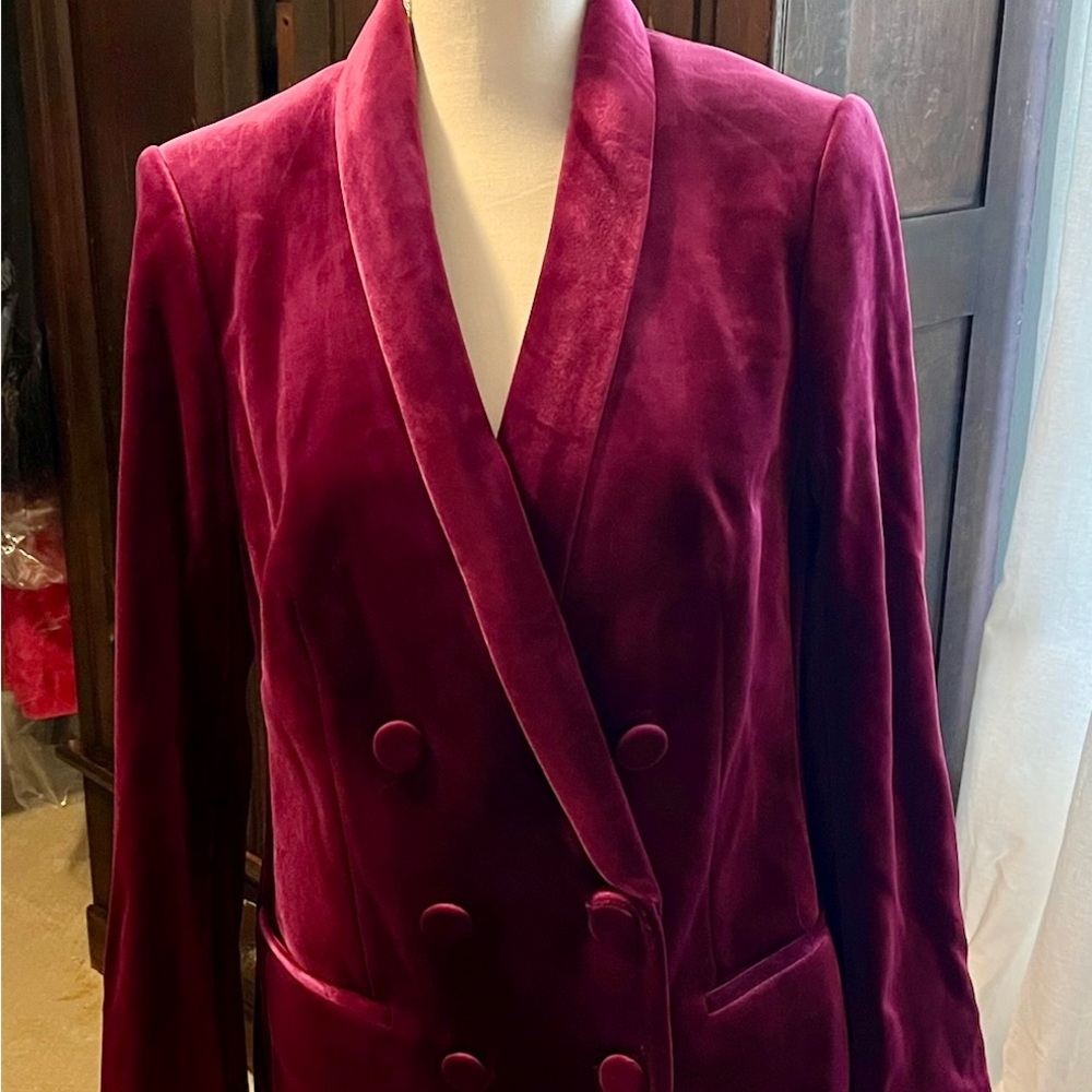 Express Ruby velvet double breasted blazer - Picture 2 of 4